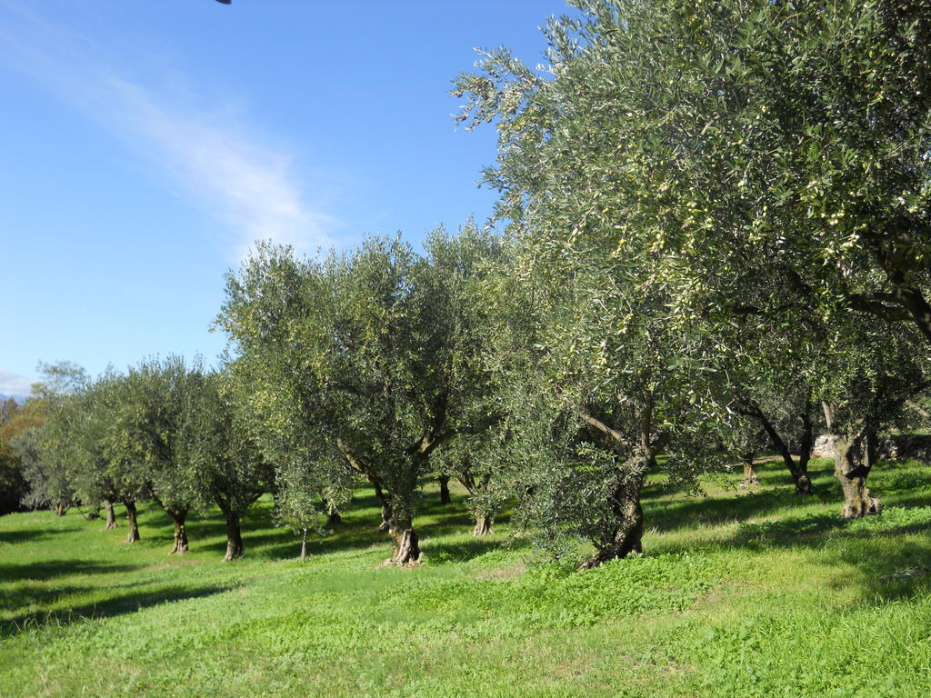 B&B Ca' Morino Verona Kültér fotó