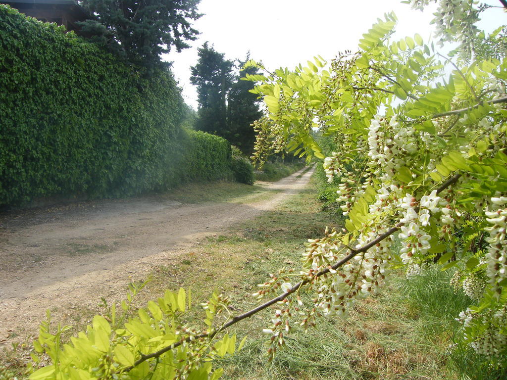 B&B Ca' Morino Verona Kültér fotó